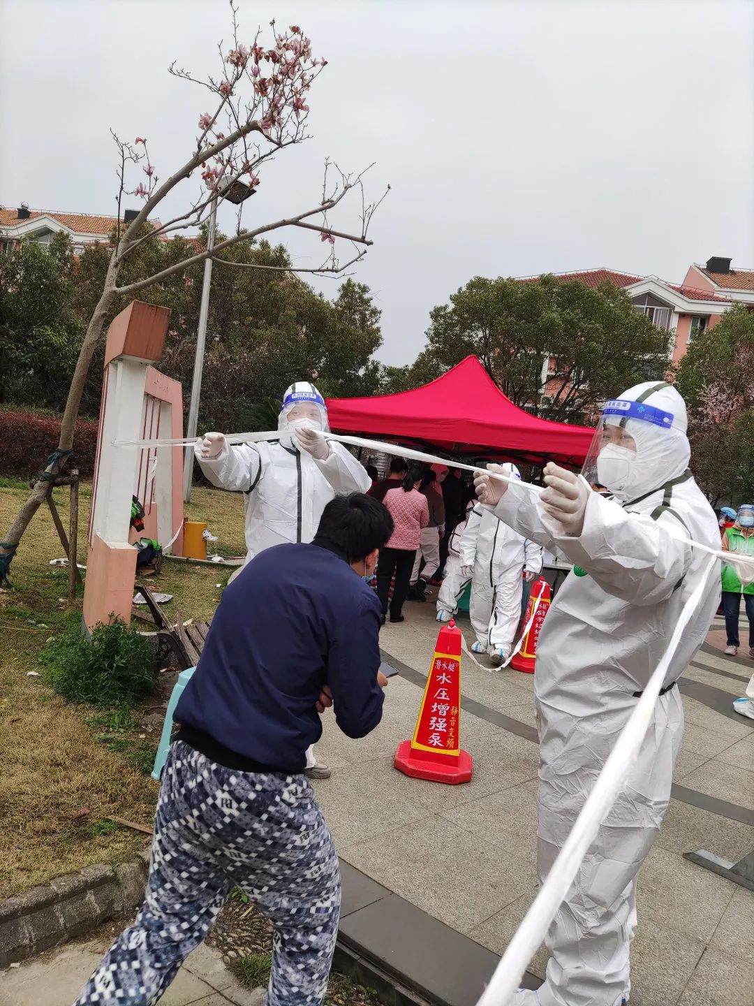 道听丨道朋律师助力抗疫,静待暖春,疫去燕归来(图28)