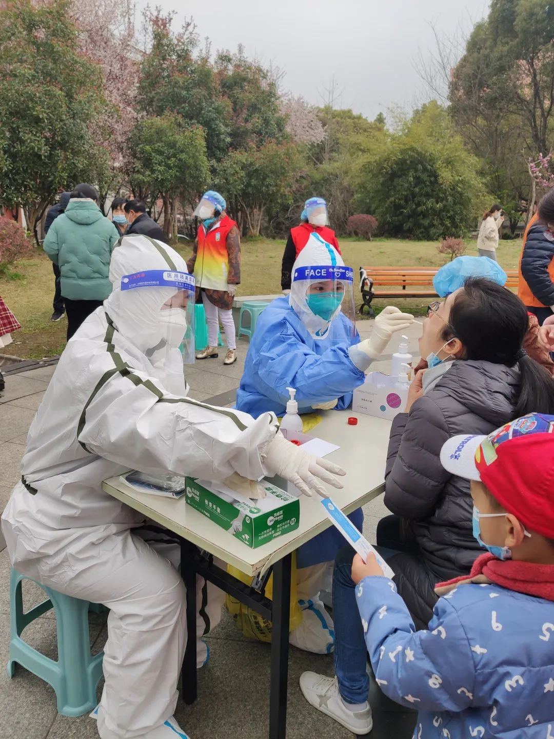 道听丨道朋律师助力抗疫,静待暖春,疫去燕归来(图27)