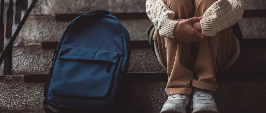 朋说丨从未成年犯罪“低龄化”讨论个别调整刑事责任年龄的传统基础(图3)