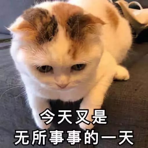 国庆特辑丨道朋律师在国庆里的千姿百态(图7)