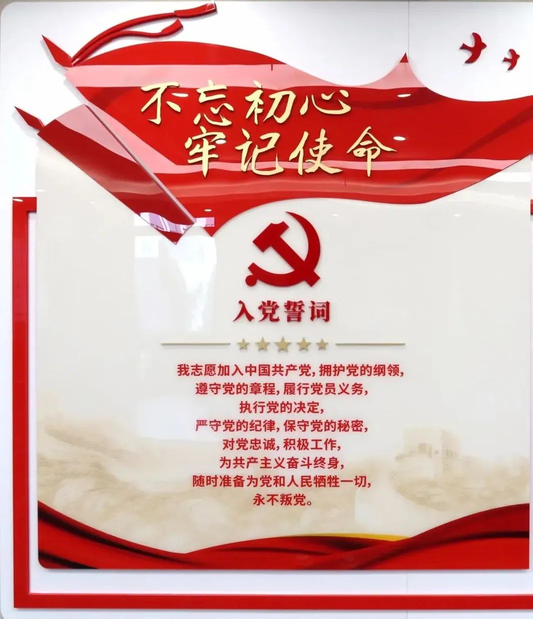 道听丨党建引领 法治筑梦(图4)