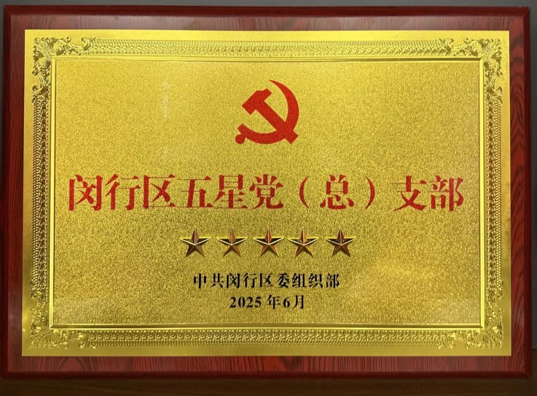 道听丨喜报！道朋党支部再获 “闵行区五星党支部” 称号(图11)