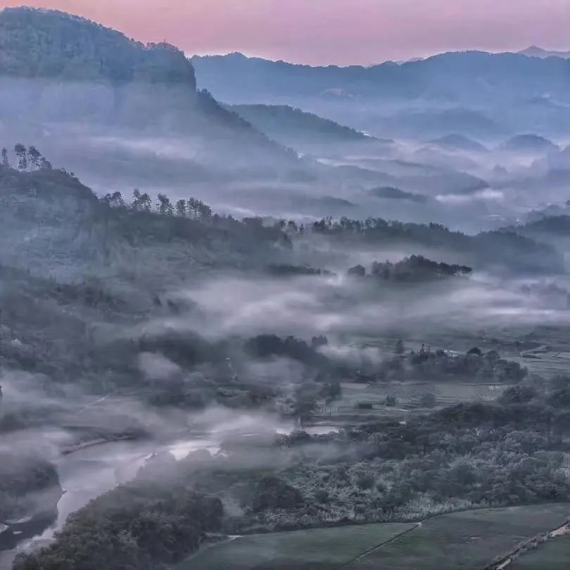 道听丨道朋律师武夷山团建：从法庭到山水，一场灵魂的充电之旅(图22)