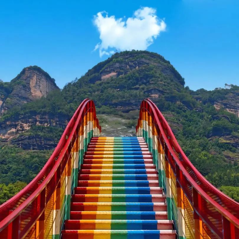 道听丨道朋律师武夷山团建：从法庭到山水，一场灵魂的充电之旅(图25)