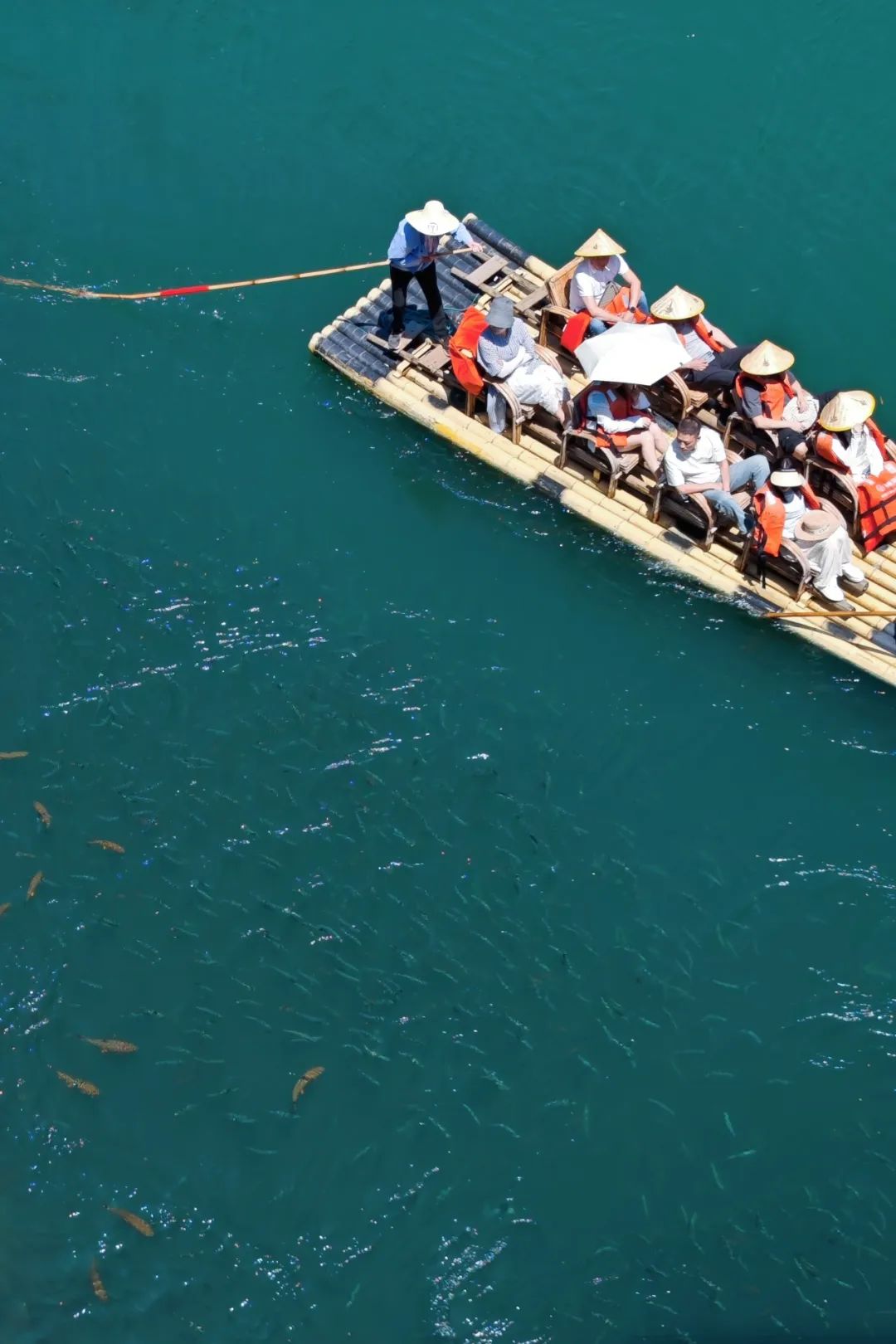 道听丨道朋律师武夷山团建：从法庭到山水，一场灵魂的充电之旅(图29)