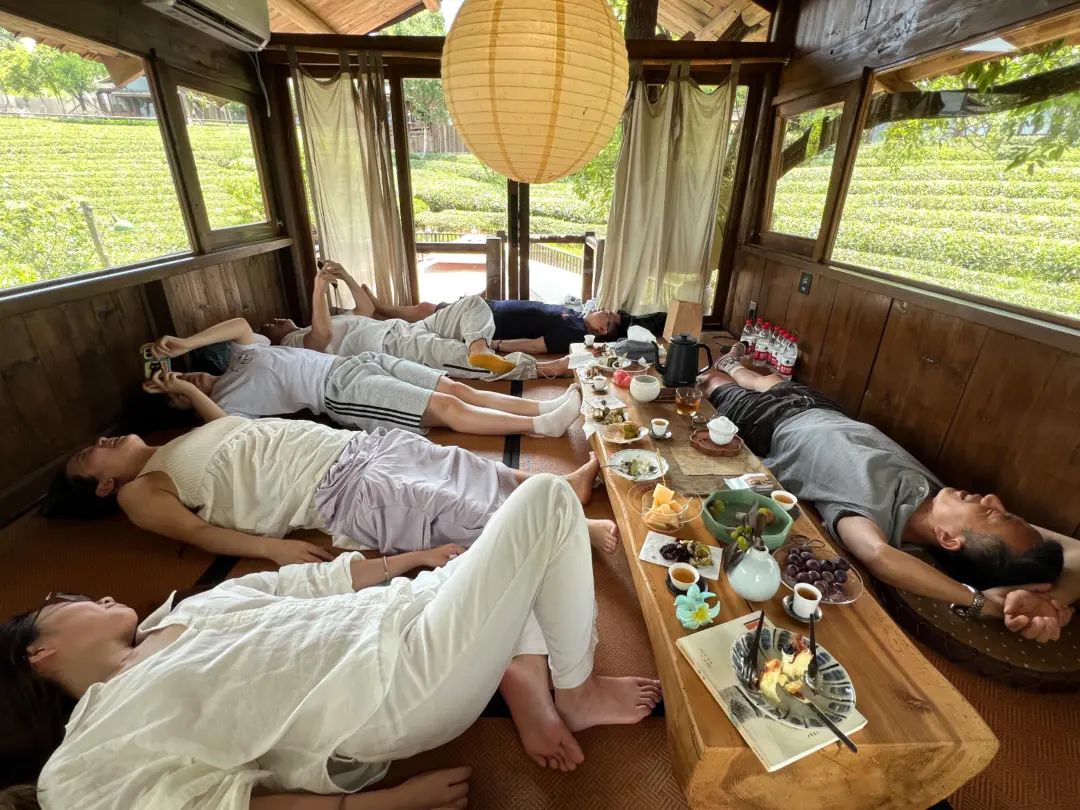 道听丨道朋律师武夷山团建：从法庭到山水，一场灵魂的充电之旅(图33)