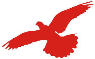 道听丨回望苦难史 坚守法治心——道朋律所组织观看爱国主义电影(图3)