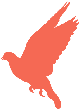 道听丨回望苦难史 坚守法治心——道朋律所组织观看爱国主义电影(图5)