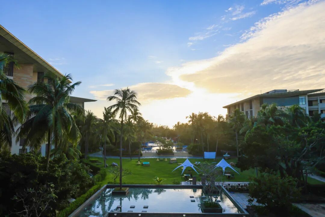 道听丨踏浪寻道 朋心闪耀——道朋暖冬三亚团建之旅(图2)