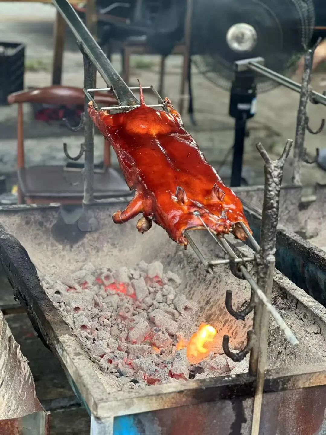 道听丨踏浪寻道 朋心闪耀——道朋暖冬三亚团建之旅(图7)