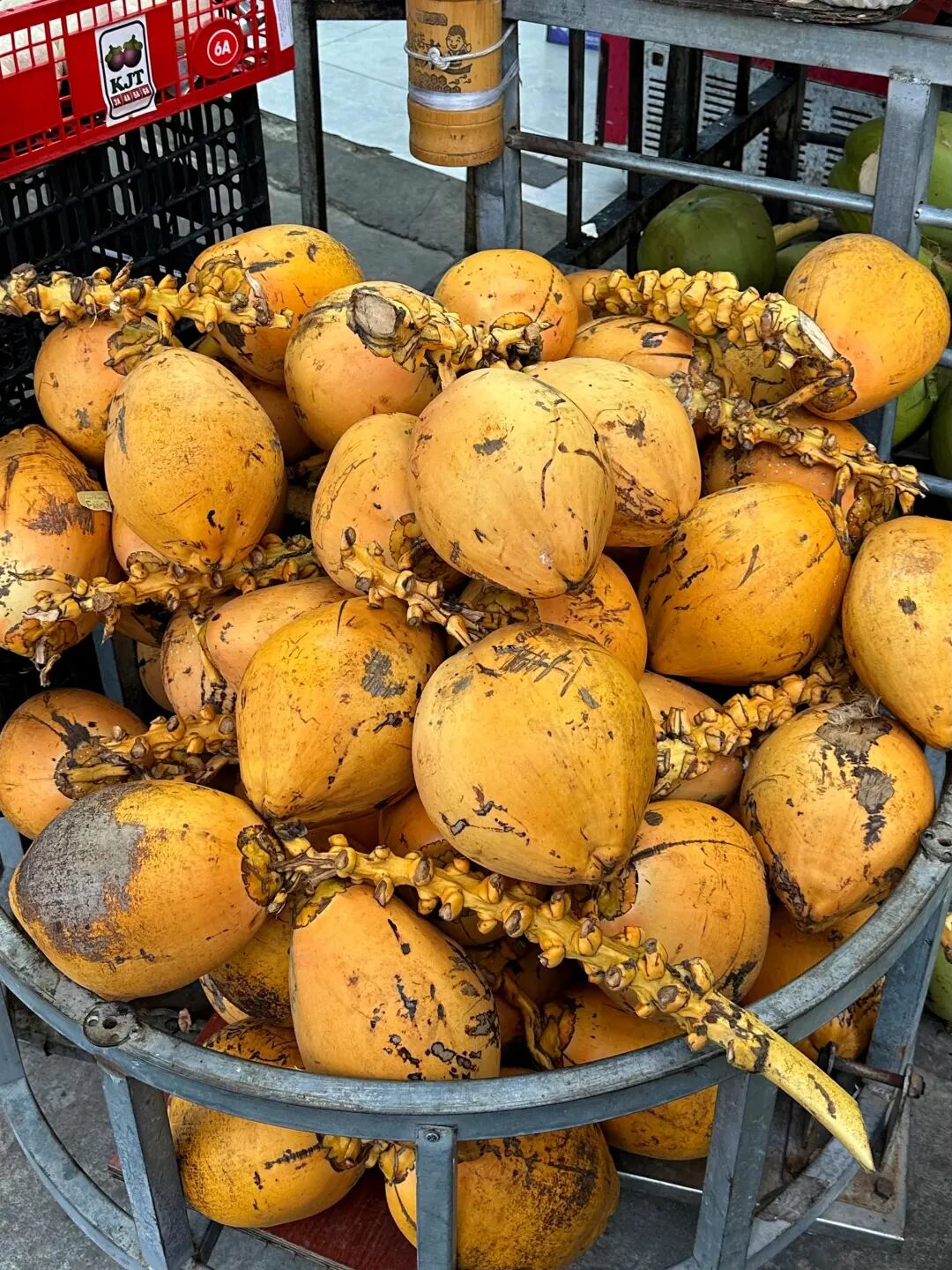 道听丨踏浪寻道 朋心闪耀——道朋暖冬三亚团建之旅(图9)