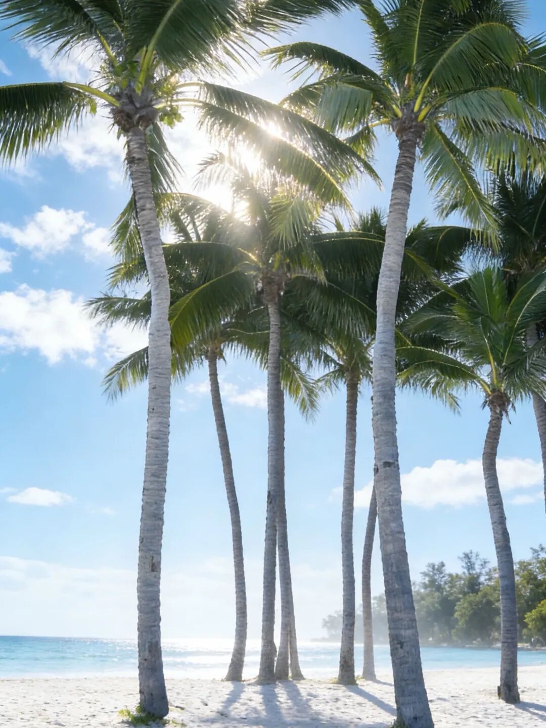 道听丨踏浪寻道 朋心闪耀——道朋暖冬三亚团建之旅(图29)