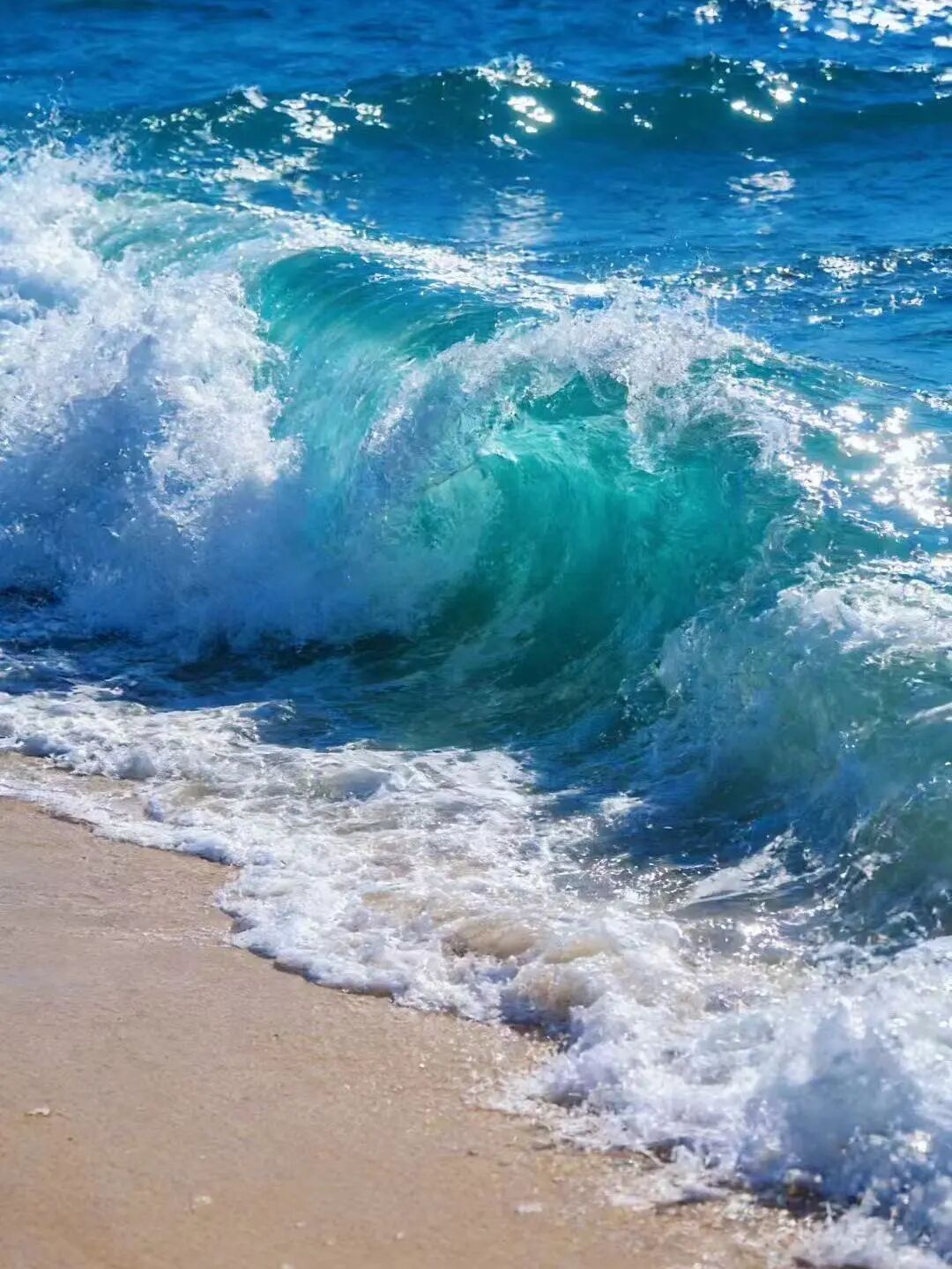 道听丨踏浪寻道 朋心闪耀——道朋暖冬三亚团建之旅(图28)