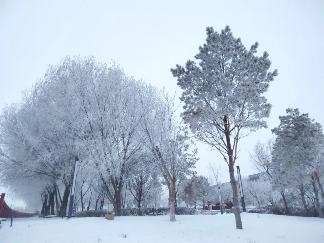 援疆笔记丨第18期：雪色北疆藏烟火—— 十二师五一农场生活手记(图5)