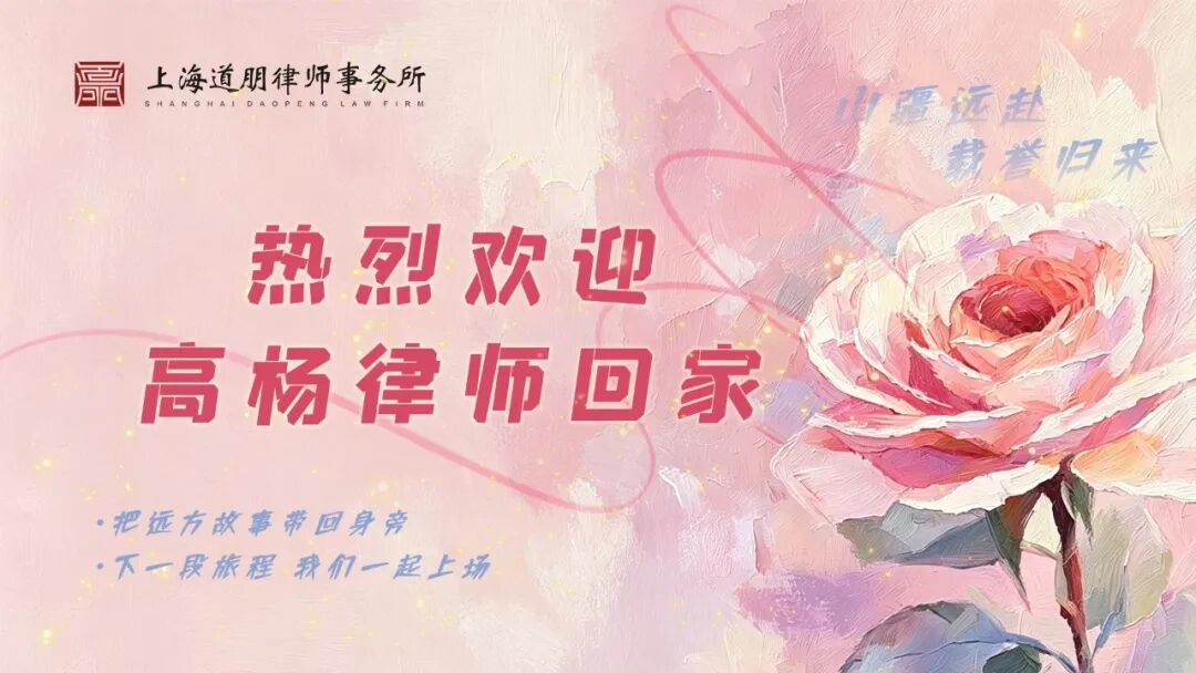 道听 | 载誉归队·我所高杨律师圆满完成援疆法律服务任务(图2)